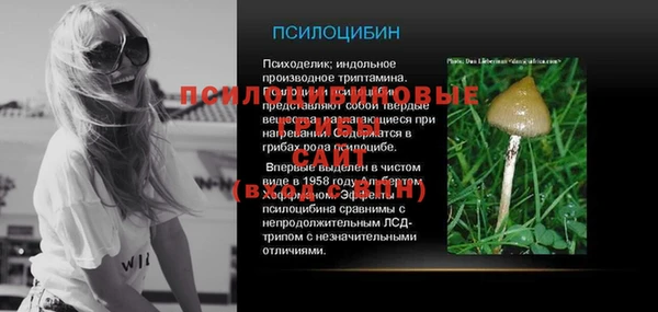 PSILOCYBIN Новодвинск