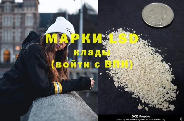 PSILOCYBIN Новодвинск