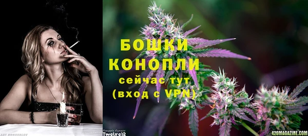 PSILOCYBIN Новодвинск